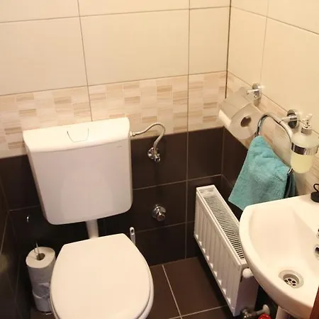 Apartment Oreg Juhasz Vendeghaz *